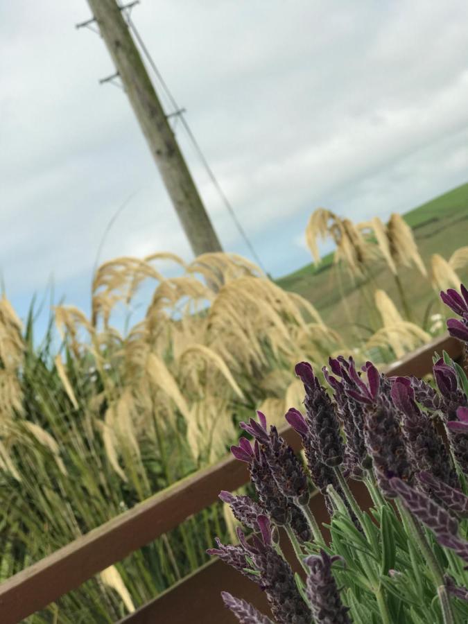 Lodge Cabin With Fabulous Views - Farm Holiday Stranraer Kültér fotó